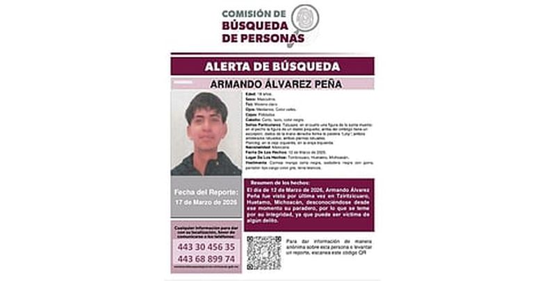 mimorelia%2F2026 03 29%2Fl3ctlk8w%2Fbus.jpg?w=480&auto=format%2Ccompress&fit=max