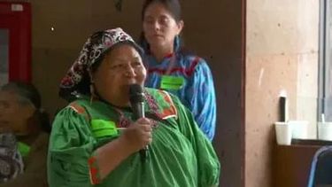 en lugar de sembrando vidas estan sembrando caguamas, mujer indigena se manifiesta en parlamento [video]