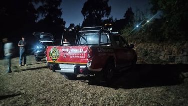 rescatan a dos perros vivos de una pileta en zitacuaro; hallan otros seis muertos