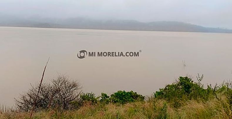 mimorelia%2F2024 09 29%2Fj661eh3n%2Fpresa.jpg?w=480&auto=format%2Ccompress&fit=max