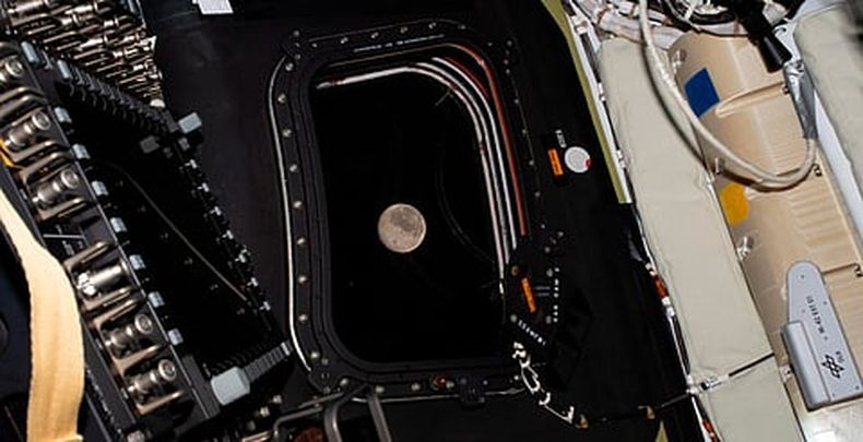 mimorelia%2F2026 04 06%2Fb3l5q469%2Fmimorelia sobre vuelo lunar.jpg?w=480&auto=format%2Ccompress&fit=max