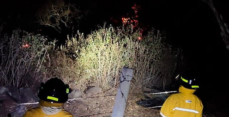 mimorelia%2F2026 02 16%2Fjkbwbzyl%2Fmimorelia incendio.jpg?w=480&auto=format%2Ccompress&fit=max