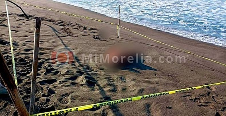 mimorelia%2F2026 04 06%2Fbtsa5l1s%2Fmimorelia cuerpo en la playa.jpg?w=480&auto=format%2Ccompress&fit=max