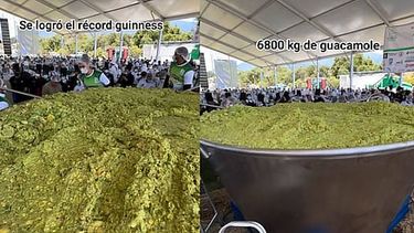 Mi Morelia | mimorelia%2F2026 04 10%2Fr9pbc0db%2Fguacamole 12.jpg?w=480&auto=format%2Ccompress&fit=max