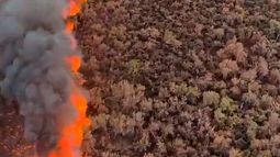 Fuego en Arizona sigue activo: más de 400 hectáreas afectadas