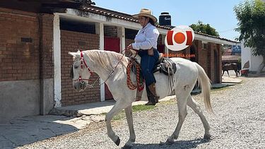 Mi Morelia | mimorelia%2F2026 05 08%2Fbrlif7uy%2FWhatsApp Image 2026 05 08 at 7.09.03 AM.jpeg?rect=0%2C180%2C1280%2C720&w=480&auto=format%2Ccompress&fit=max