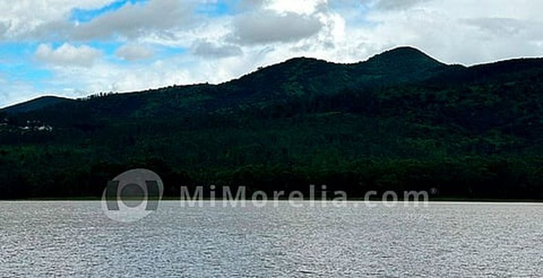 mimorelia%2F2024 09 24%2Fd16v2su3%2Fmimoreliapresa.jpg?w=480&auto=format%2Ccompress&fit=max