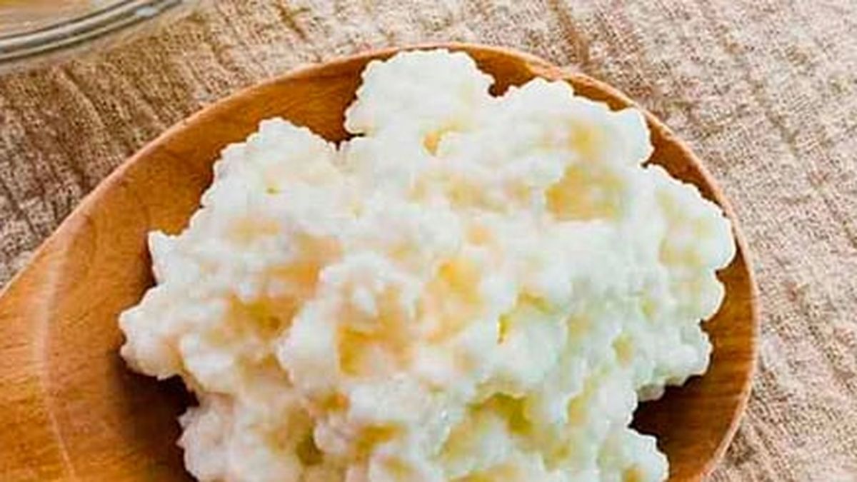 ¿Ya conoces los búlgaros? El secreto milenario para una buena digestión