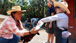Granjeros por un día: así será la experiencia infantil en el Zoo de Morelia