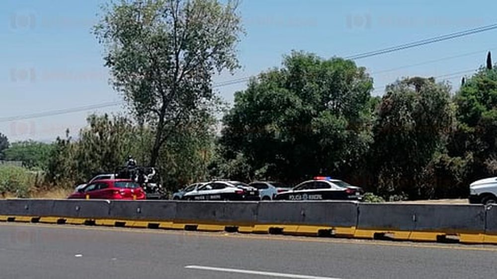 El hallazgo lo hicieron unos habitantes de la zona (Foto: RED 113)