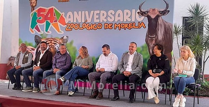 mimorelia%2F2024 10 11%2Fp254fjxz%2FZOO.jpg?w=480&auto=format%2Ccompress&fit=max