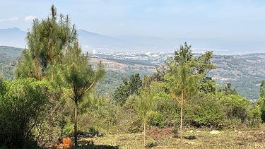 no es solo la falla de san andres: morelia tiene sus propios riesgos sismicos