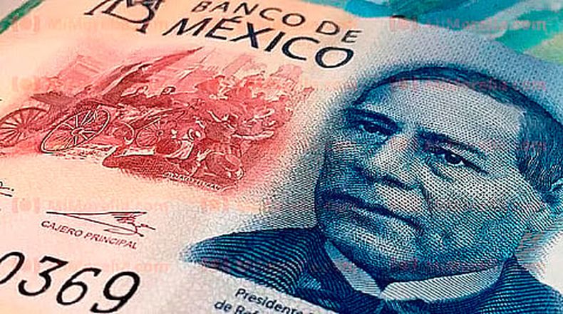 mimorelia%2F2025 05 21%2Focmwwtcj%2Fmimorelia2022 11cde0e19d 856f 4673 b3f3 326d7276e409dinero23.avif?w=480&auto=format%2Ccompress&fit=max