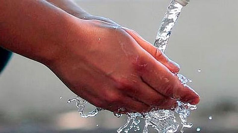 mimorelia%2F2022 06%2F13d6deab 367a 419c 929c 9ed7be9ac915%2Fmimorelia_agua.jpg?w=480&auto=format%2Ccompress&fit=max