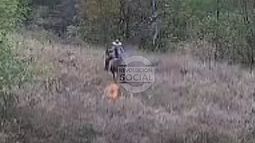 Buscan a responsable de incendio forestal en Morelia; prendió en fuego y huyó en caballo