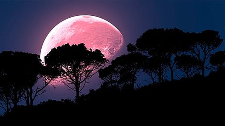 Esta luna será la más grande del año (Foto: Pixabay)