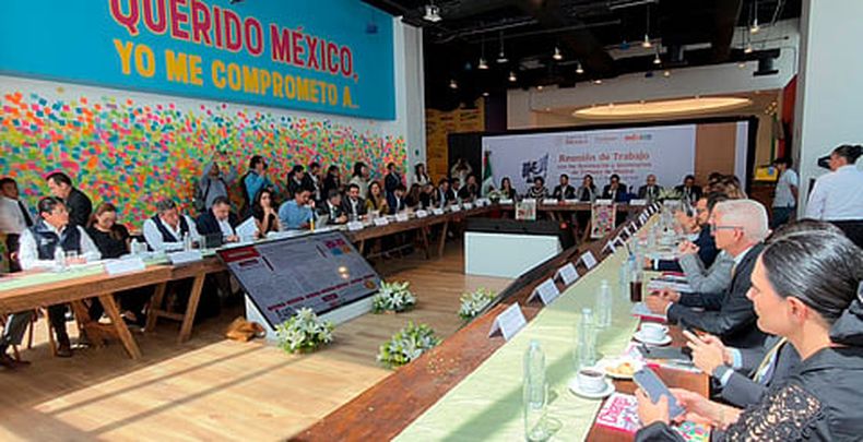 mimorelia%2F2025 10 21%2Fc39fh572%2Fimoreliasectur.jpg?w=480&auto=format%2Ccompress&fit=max