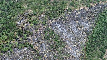 tras varios dias de combate, logran controlar incendio en el estribo grande de patzcuaro