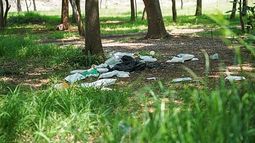 ¡El Arboretum nos necesita! Convocan a gran jornada de limpieza en Morelia
