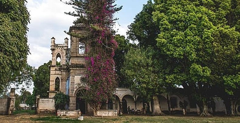 mimorelia%2F2026 05 20%2Fyz3v26ky%2Fhacienda 1.jpg?w=480&auto=format%2Ccompress&fit=max
