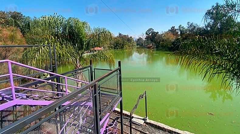 mimorelia%2F2022 12%2F612c8f51 e5f6 45e8 a827 8e9741ac0286%2Ftirolesa_12.jpg?w=480&auto=format%2Ccompress&fit=max