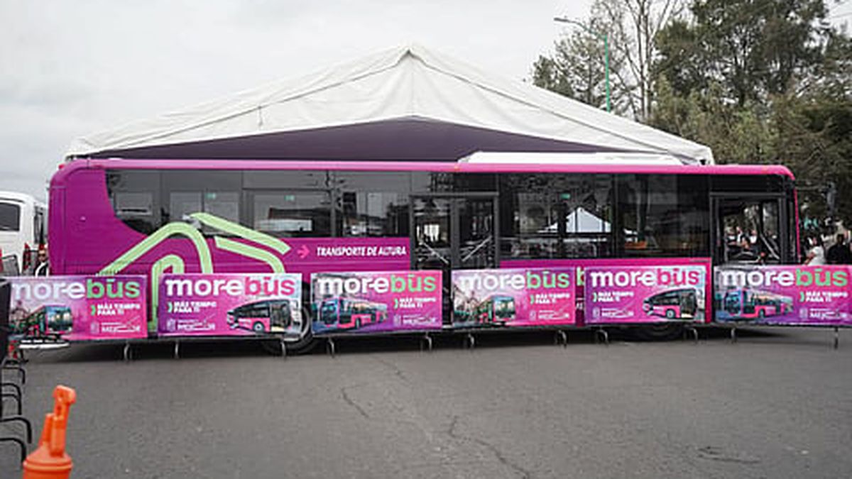 Morebus Numbers ¡Arranca obra del Morebús! Estará listo en febrero de 2027