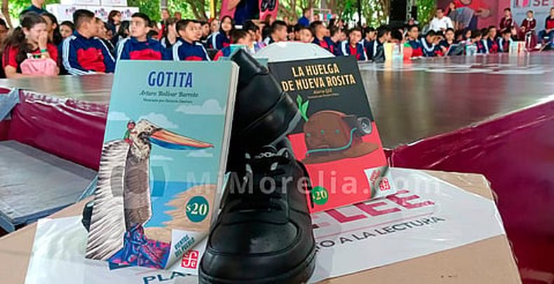 mimorelia%2F2024 09 03%2Fiit66gki%2Fimorelia_libros.jpg?w=480&auto=format%2Ccompress&fit=max