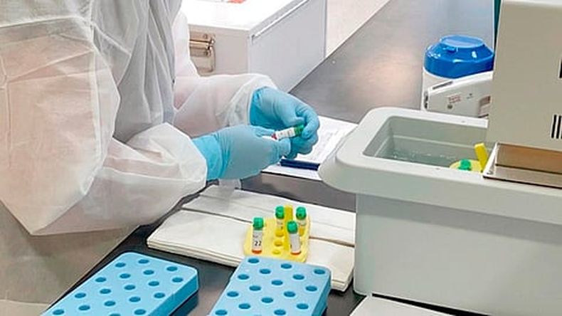 La vacunación comenzaría la siguiente semana (Foto: FB/Pfizer)