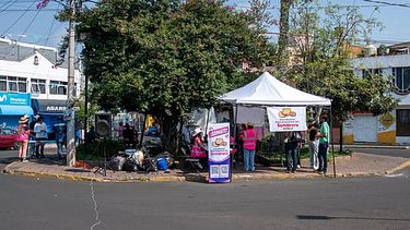 Mi Morelia | mimorelia%2F2026 05 17%2Fj96t1s3v%2FWhatsApp Image 2026 05 17 at 11.28.57 AM.jpeg?rect=0%2C134%2C1280%2C720&w=480&auto=format%2Ccompress&fit=max