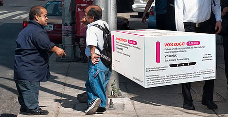 mimorelia%2F2026 04 07%2Fupe3u61w%2FMiMoreliaVosoritida.jpg?w=480&auto=format%2Ccompress&fit=max