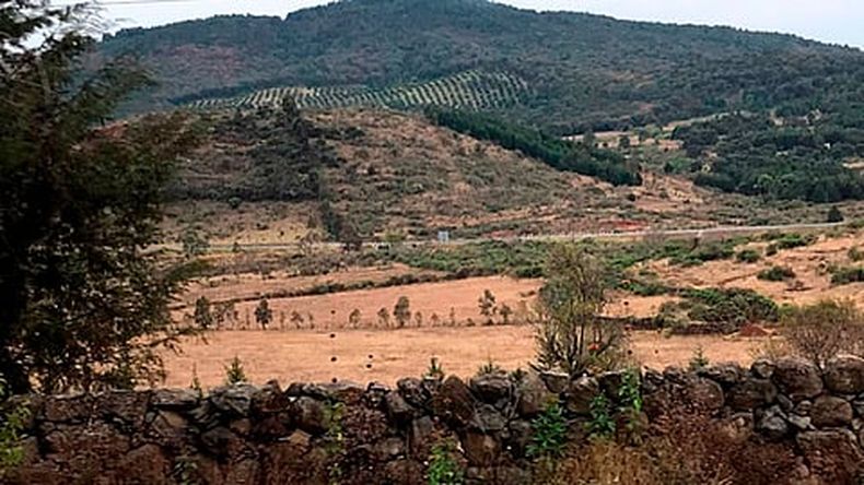Se busca incluir a los habitantes en diversos proyectos productivos y en el pago por servicios ambientales (Foto: cortesía)